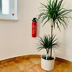 Apartment Amica Trogir