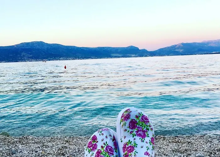 Amica شقة تروغير