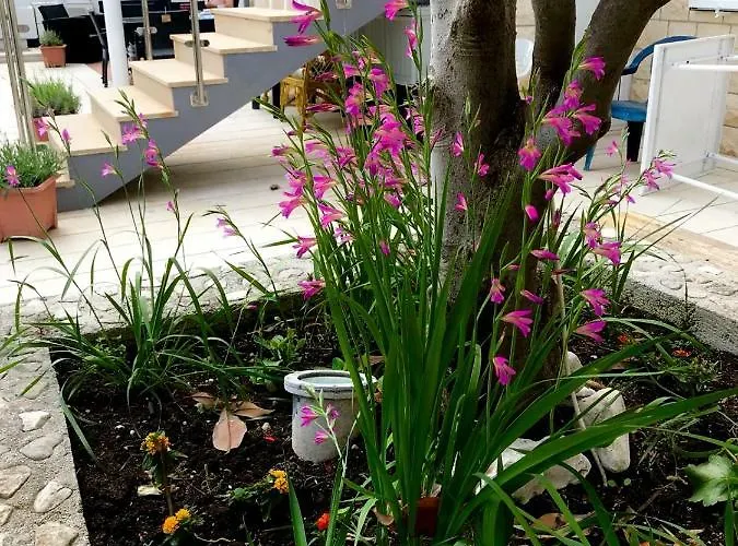 Lägenhet Amica Trogir